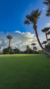 5980 A1A South–0842_result