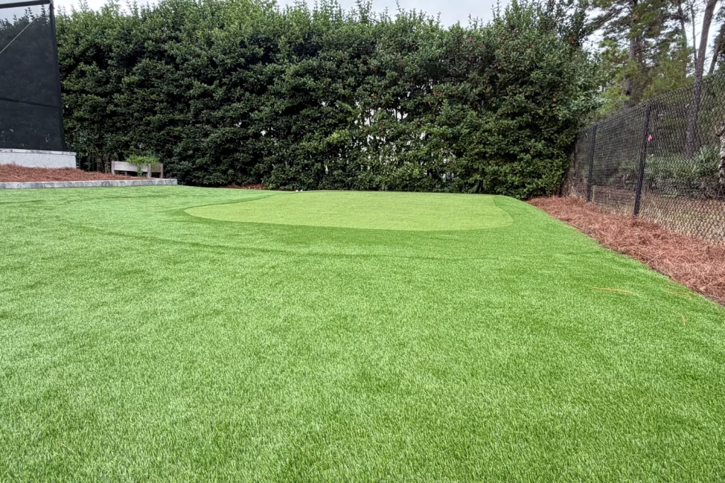 backyard artificial grass