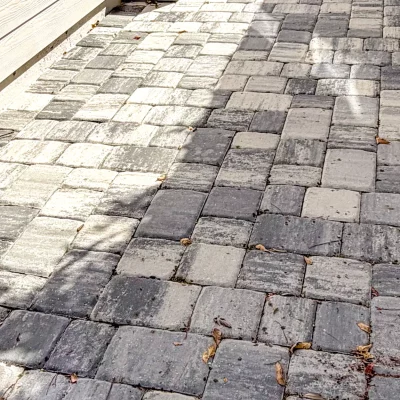 1818-Montgomery-Place-2025-2920