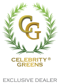CelebrityGreens-ExclusiveDealerLogo-transparent-rev.png CelebrityGreens-ExclusiveDealerLogo-transparent-rev.png