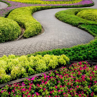Hardscaping installers in Jacksonville Hardscaping installers in Jacksonville