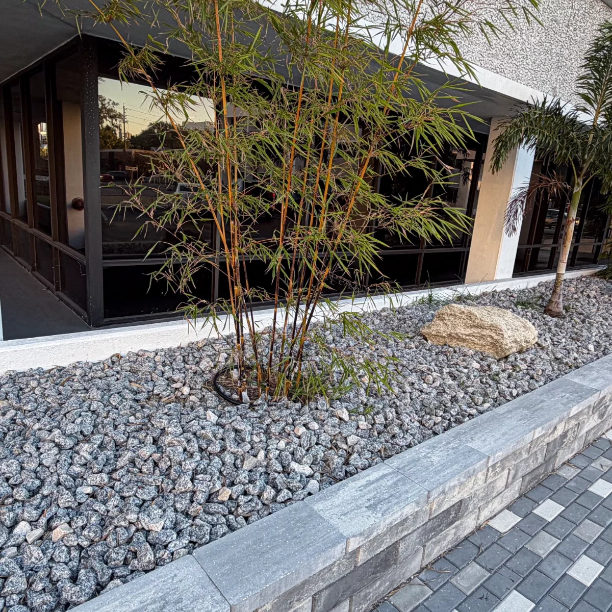 commercial-body-image-2