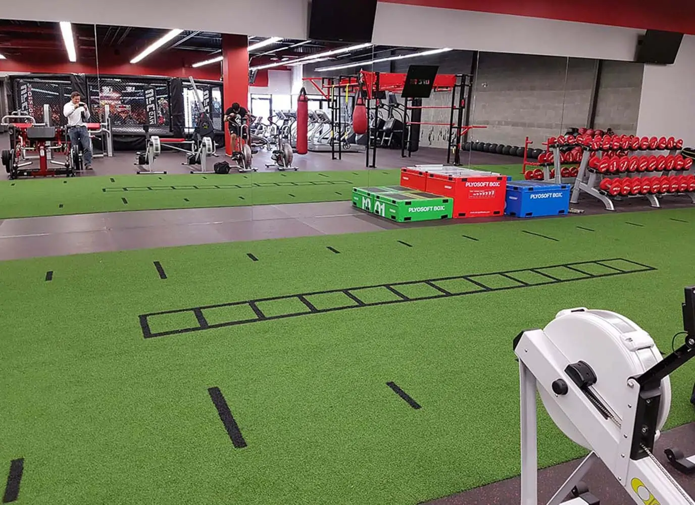 Indoor artificial agility grass from Jax Outdoor Solutions